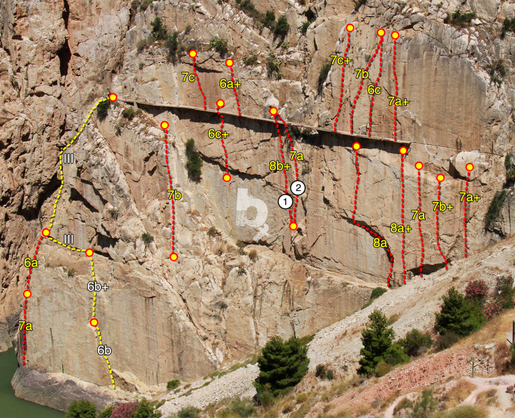 pasarela venenos2